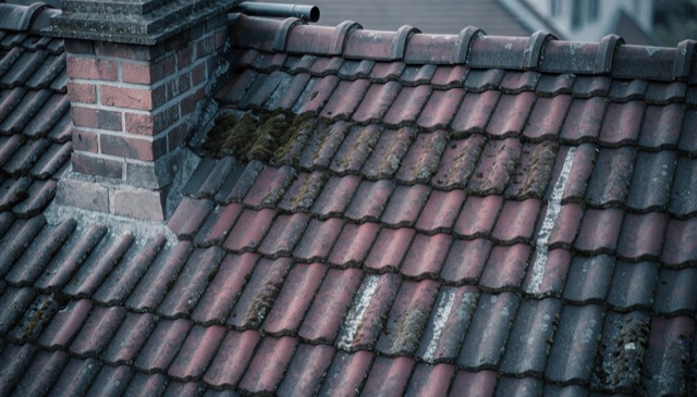 Drohnen-Detailaufnahme eines gealterten Ziegeldachs mit Moosbefall